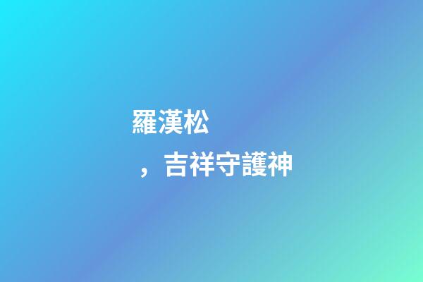 羅漢松，吉祥守護神